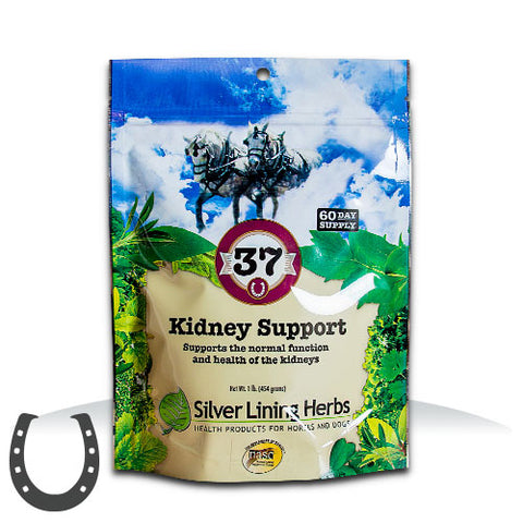 37 Kidney Support